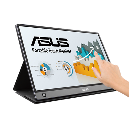 Buy Online ASUS MB16AMT 15.6