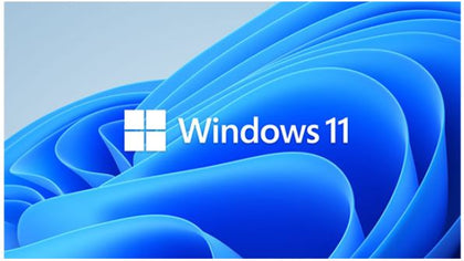 Microsoft Windows 11 Professional for Workstation 64 BIT - By Order NEW